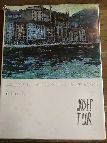 Portada del libro de MESTROS DEL ARTE ESPAÑOL CONTEMPORANEO. 6. JOSEP TUR