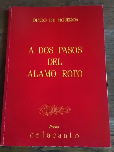 Portada del libro de A DOS PASOS DEL ÁLAMO ROTO