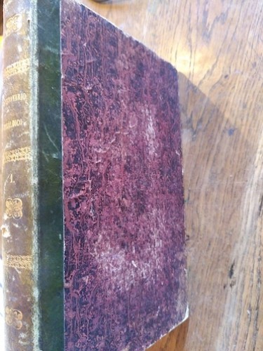 Portada del libro de DICCIONARIO HISTÓRICO, GENEALÓGICO Y HERÁLDICO DE LAS FAMILIAS ILUSTRES DE LA MONARQUÍA ESPAÑOLA