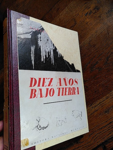 Portada del libro de DIEZ AÑOS BAJO TIERRA