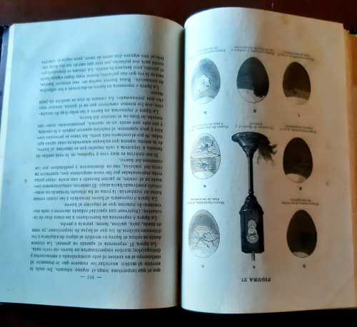 Portada del libro de LA GALLINA TRATADO DE INCUBACION NATURAL Y ARTIFICIAL