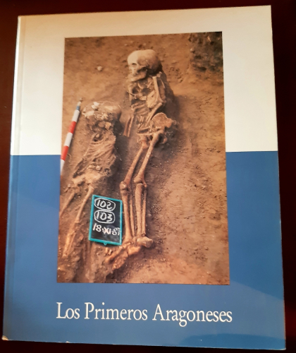 Portada del libro de LOS PRIMEROS ARAGONESES / CONS 1-4E / 1993 EDIFICIO PIGNATELLI ZARAGOZA, RICLA / CATALOGO EXPO

