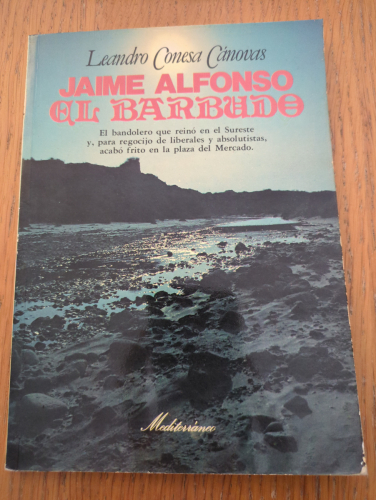 Portada del libro de Jaime Alfonso el Barbudo. El Bandolero que reino en el Sureste y acabo frito en la Plaza del Mercado
