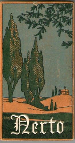 Portada del libro de NERTO