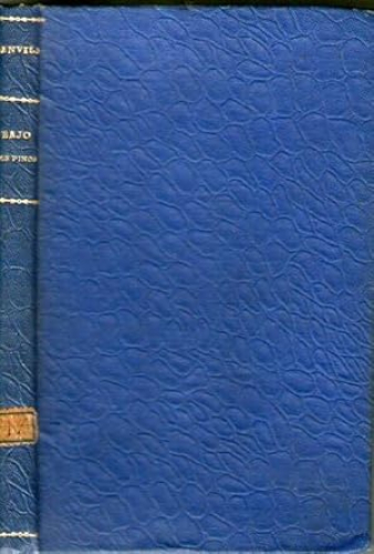 Portada del libro de BAJO LOS PINOS