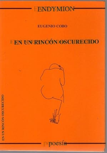Portada del libro de EN UN RINCON OSCURECIDO