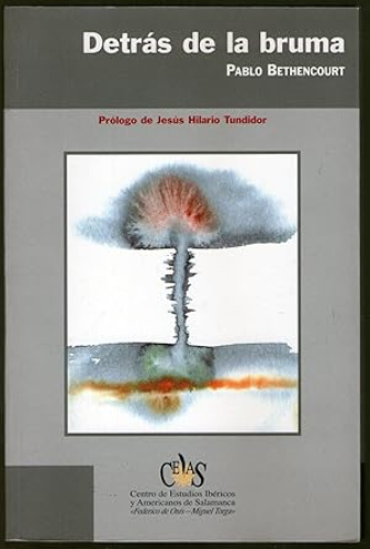 Portada del libro de DETRAS DE LA BRUMA