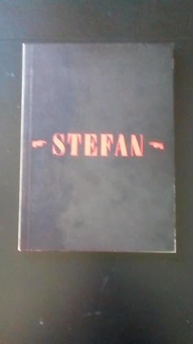 Portada del libro de STEFAN - SERES Y ENSERES - ENSAYO EN ALAMBRES DE COBRE