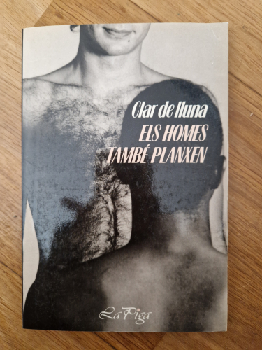 Portada del libro de Els homes també planxen