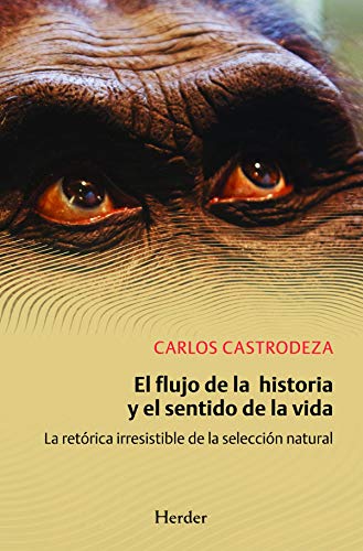Portada del libro de EL FLUJO DE LA HISTORIA Y EL SENTIDO DE LA VIDA