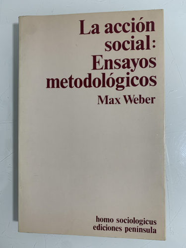 Portada del libro de LA ACCIÓN SOCIAL: ENSAYOS METODOLÓGICOS