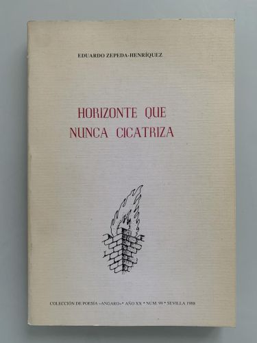 Portada del libro de HORIZONTE QUE NUNCA CICATRIZA