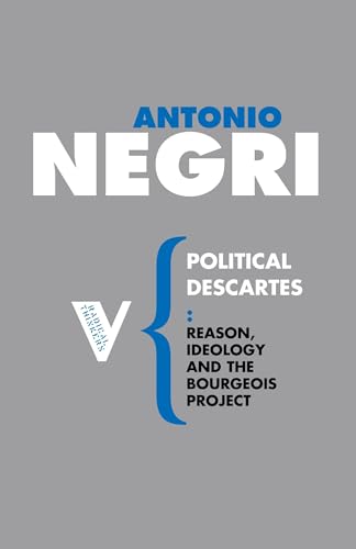 Portada del libro de THE POLITICAL DESCARTES