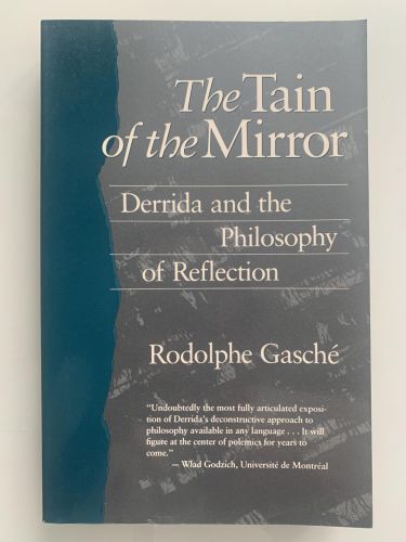 Portada del libro de THE TAIN OF THE MIRROR : DERRIDA AND THE PHILOSOPHY OF REFLECTION