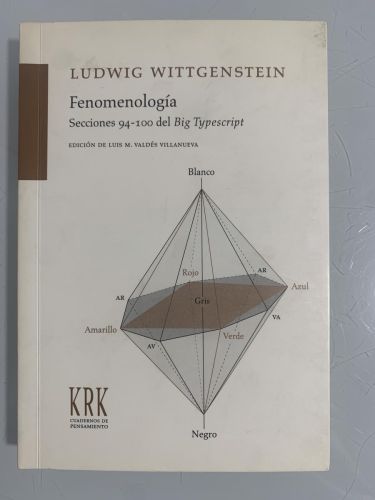 Portada del libro de FENOMENOLOGÍA. Secciones 94-100 del Big Typescript