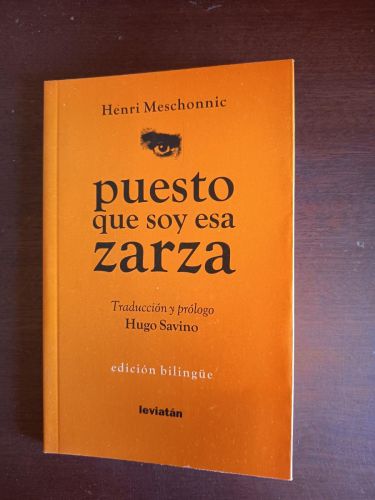 Portada del libro de Puesto que soy esa zarza