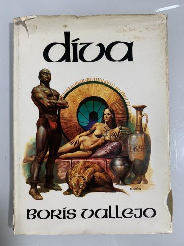 Portada del libro de DIVA
