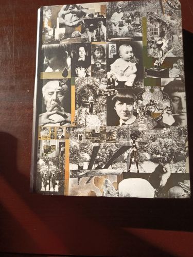 Portada del libro de Hannah Höch