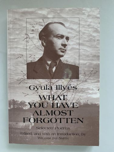 WHAT YOU HAVE ALMOST FORGOTTEN. Selected poems