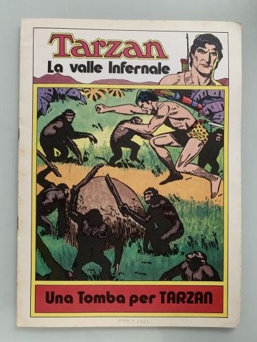 TARZÁN. LA VALLE INFERNALE y UNA TOMBA PER TARZÁN