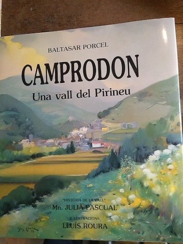 Portada del libro de CAMPRODON, UNA VALL DEL PIRINEU